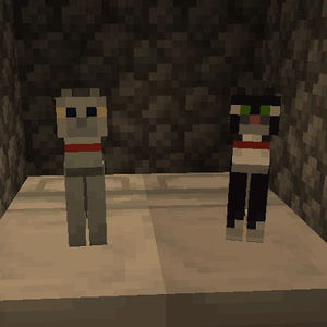 Meet your Posher, Kellie